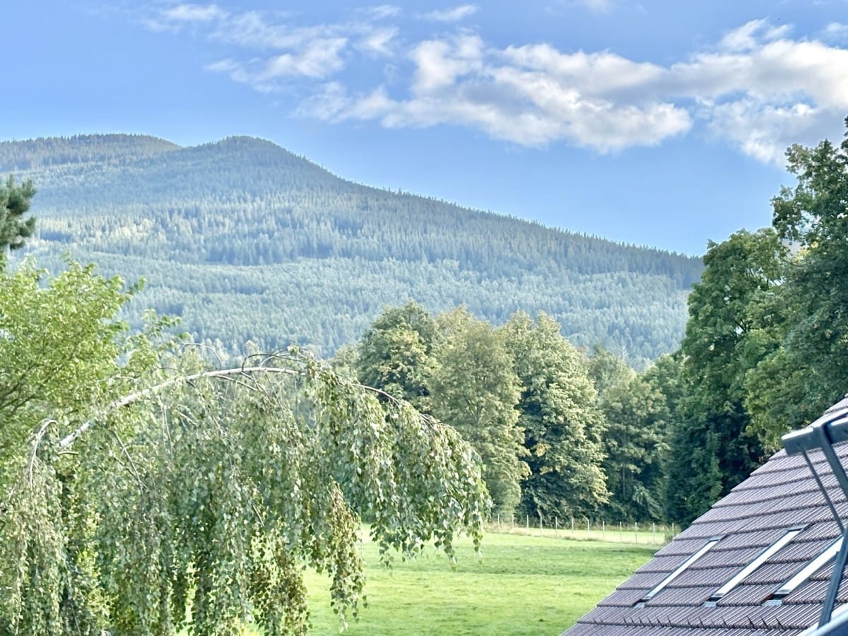 Mieszkanie 1 pokojowe na Sprzedaż