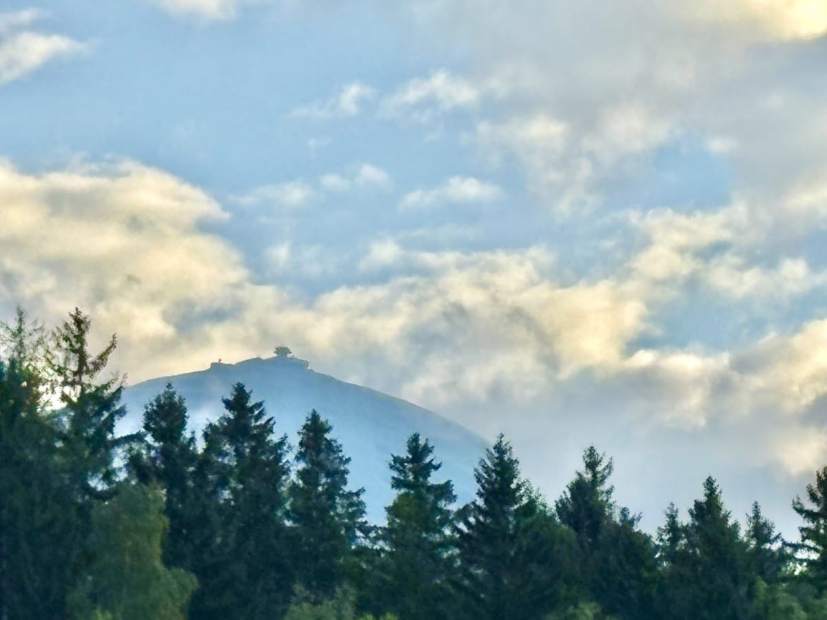 Mieszkanie 1 pokojowe na Sprzedaż
