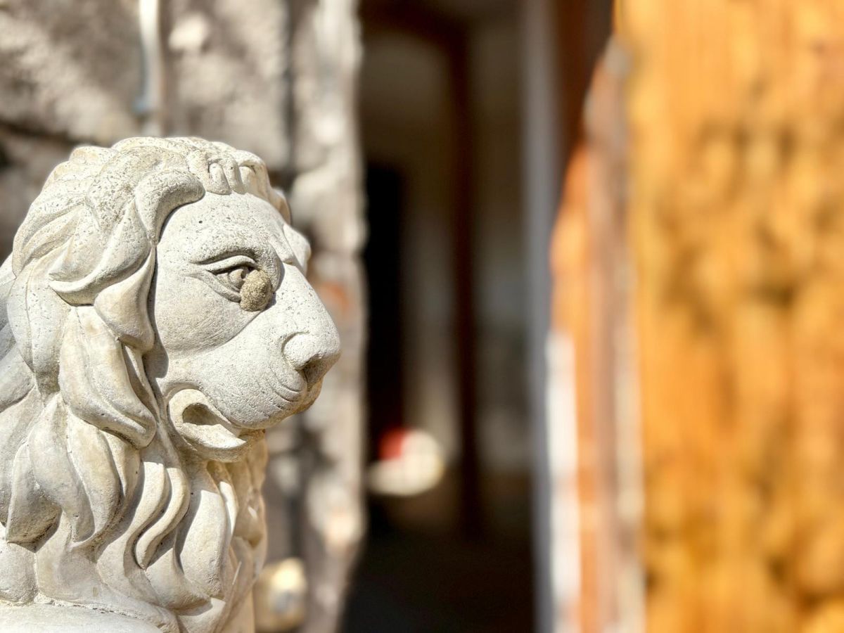 Dom 6 pokojowe na Sprzedaż