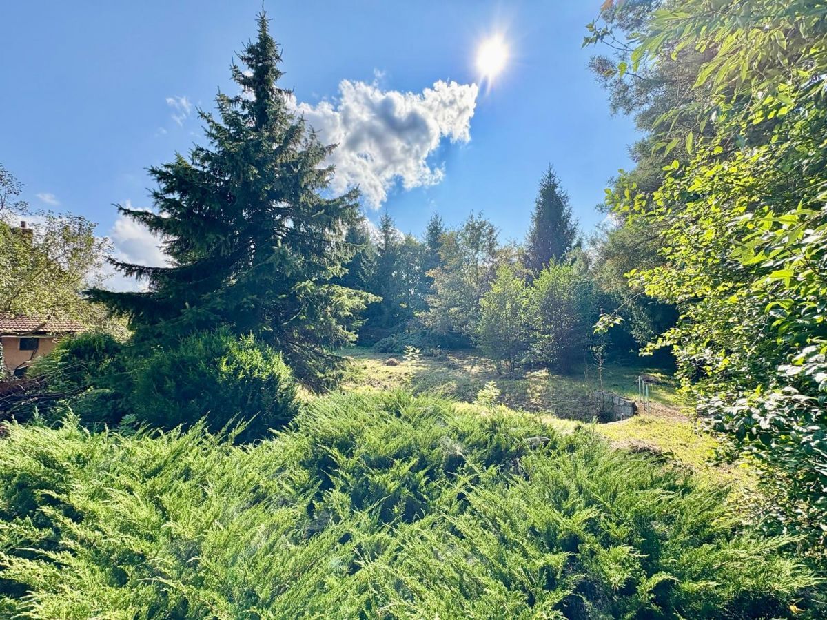 Dom 6 pokojowe na Sprzedaż