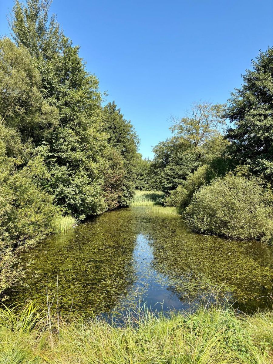 Dom 6 pokojowe na Sprzedaż