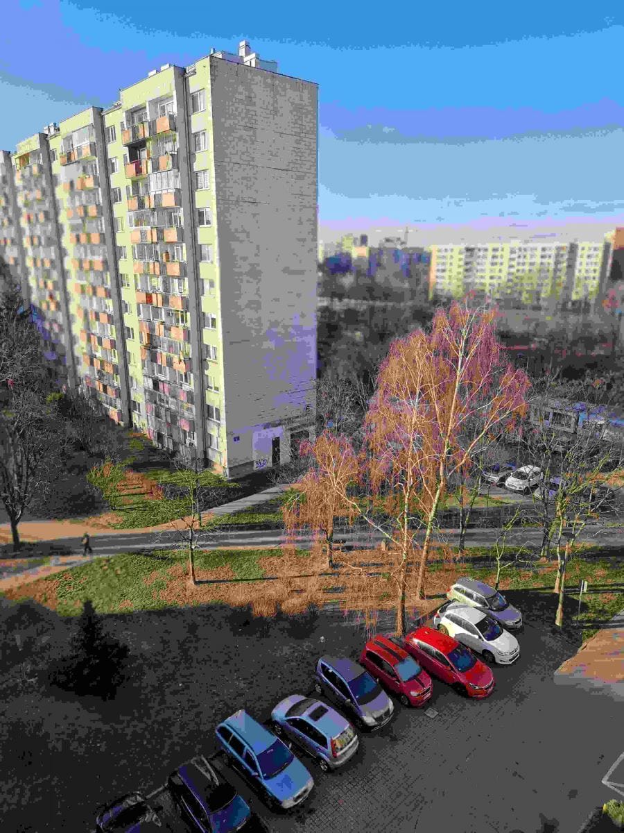 Mieszkanie 3 pokojowe na Wynajem