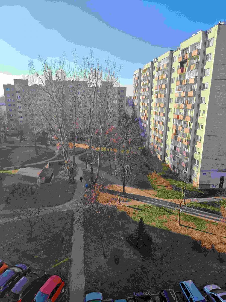 Mieszkanie 3 pokojowe na Wynajem