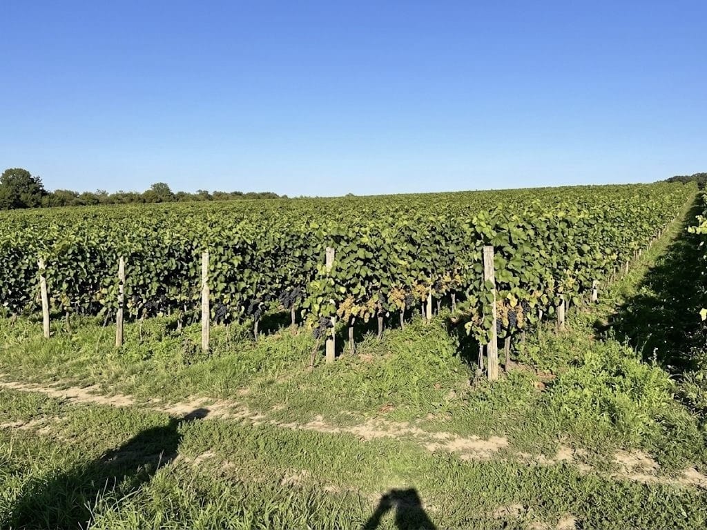 Dom 3 pokojowe na Sprzedaż