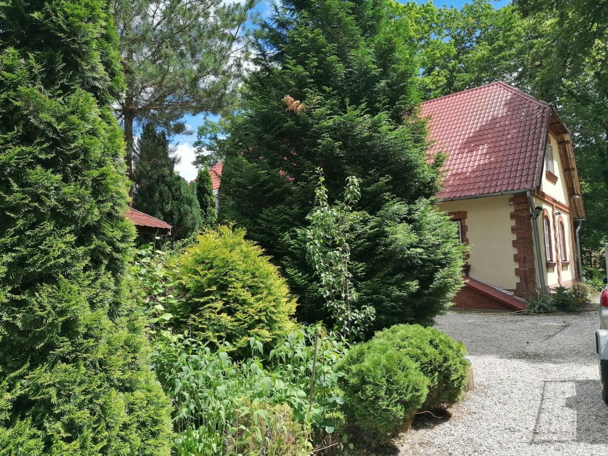 Dom 6 pokojowe na Sprzedaż