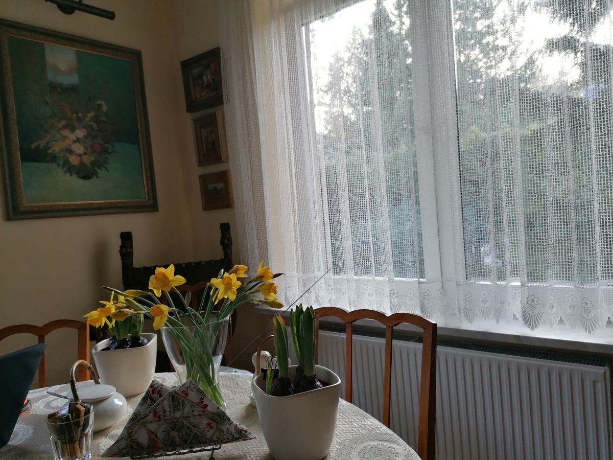 Dom 5 pokojowe na Sprzedaż