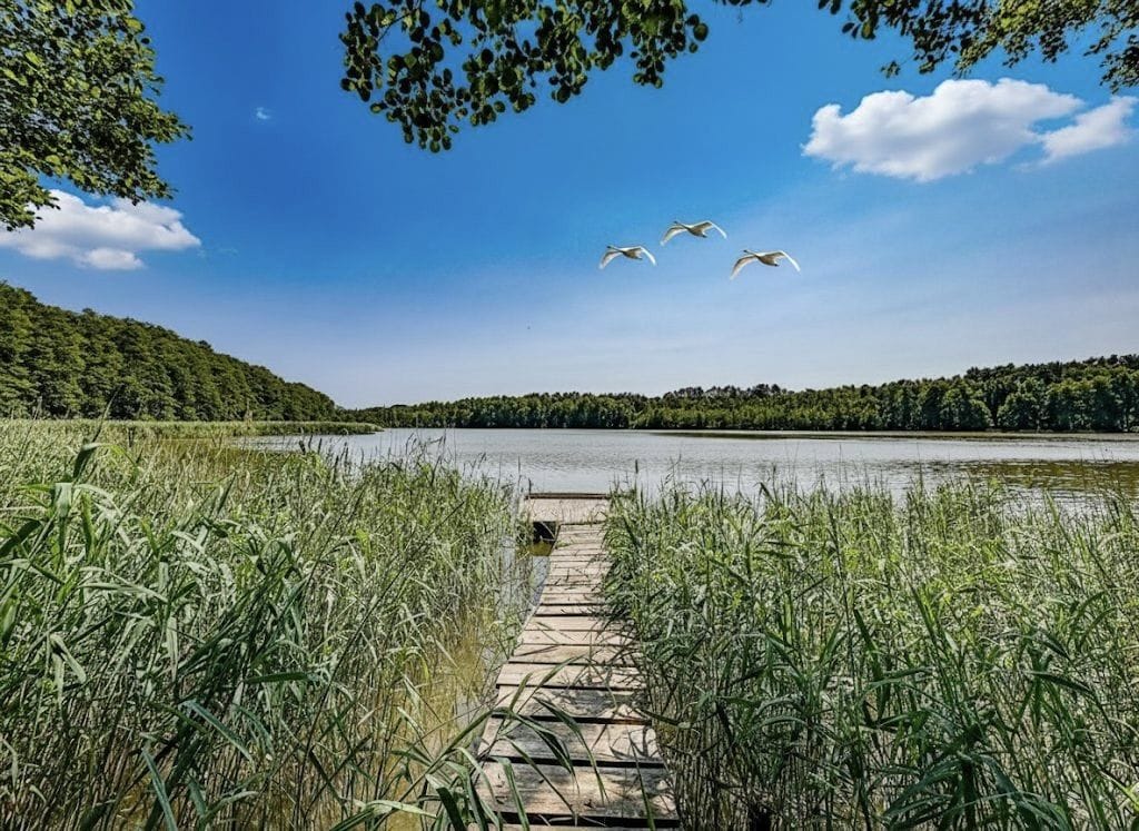 Dom 4 pokojowe na Sprzedaż