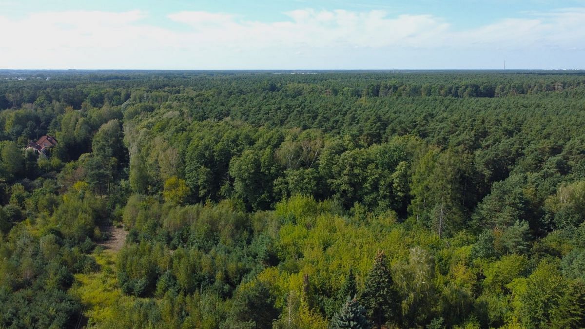 Działka  pokojowe na Sprzedaż