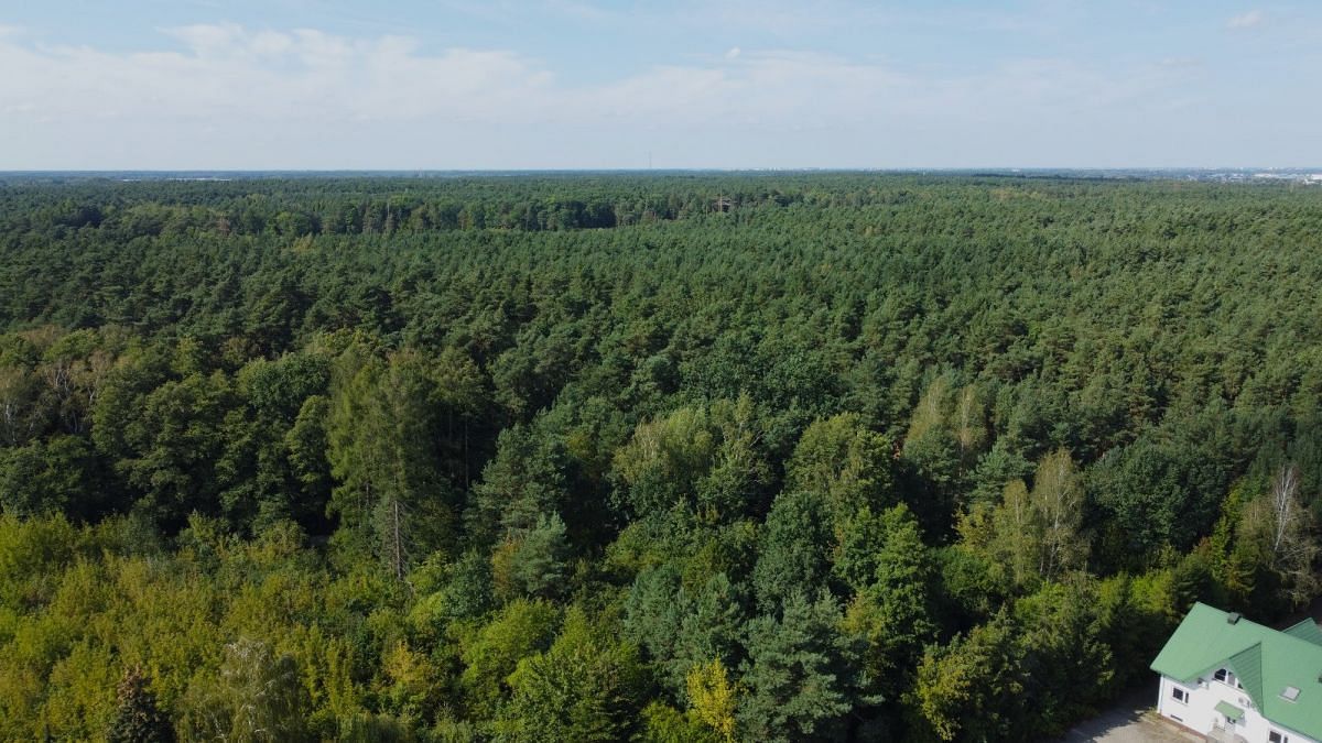 Działka  pokojowe na Sprzedaż