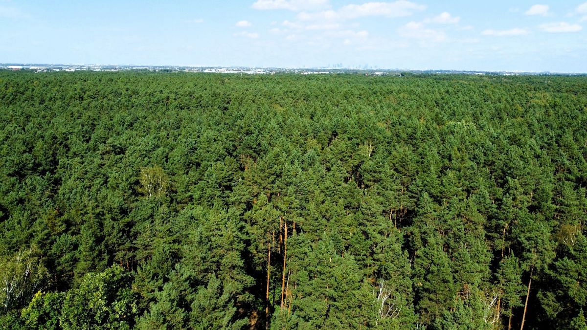 Działka  pokojowe na Sprzedaż