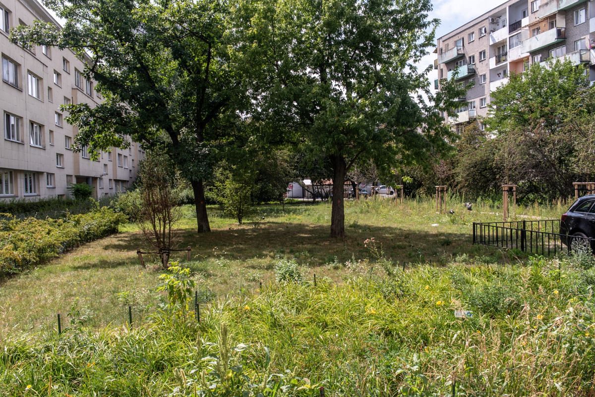 Mieszkanie 2 pokojowe na Wynajem