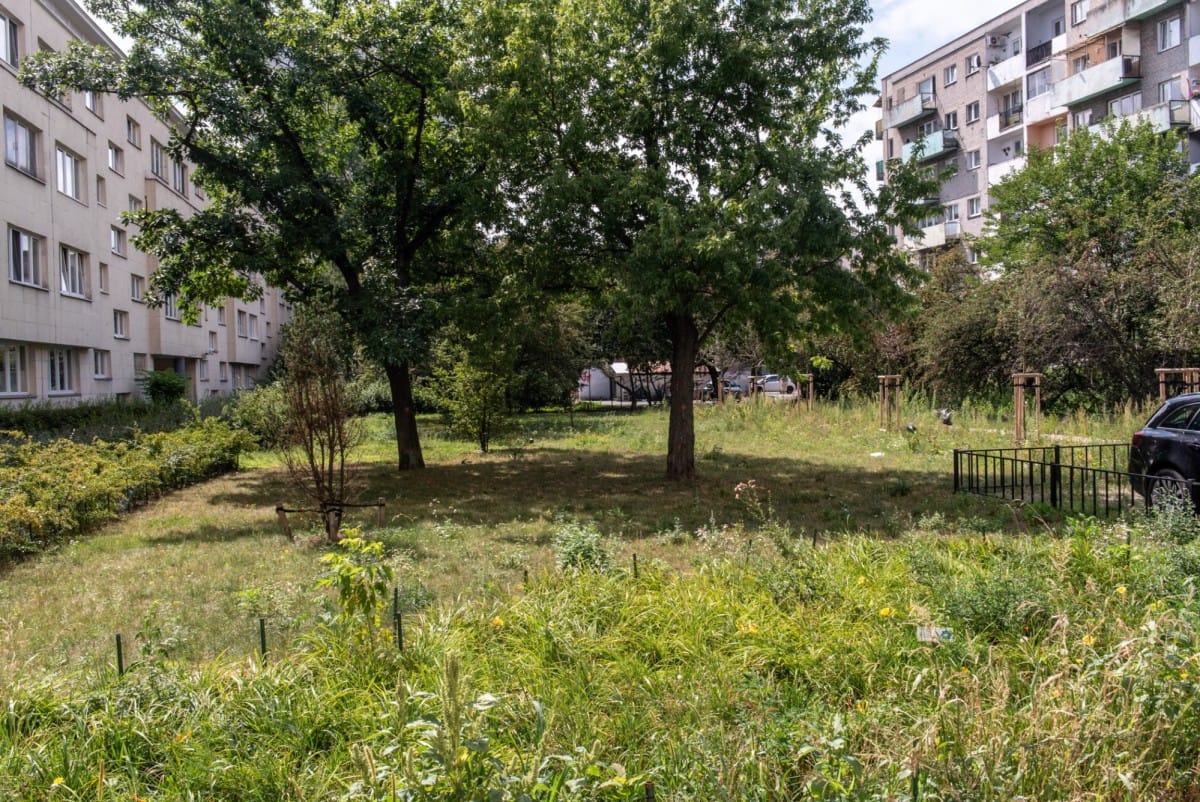 Mieszkanie 2 pokojowe na Wynajem