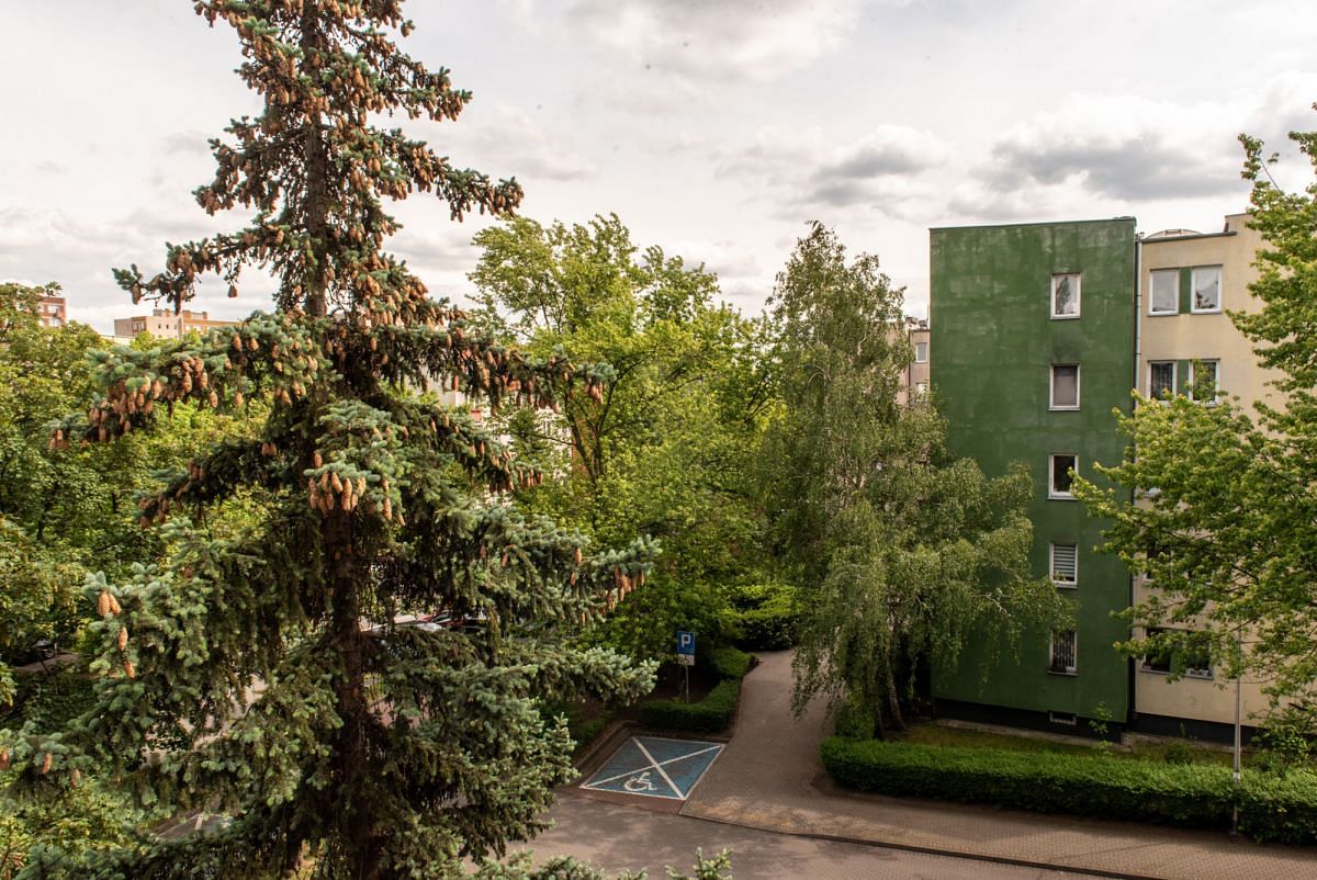Mieszkanie 3 pokojowe na Sprzedaż