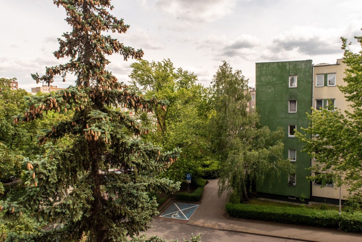 Mieszkanie 3 pokojowe na Sprzedaż