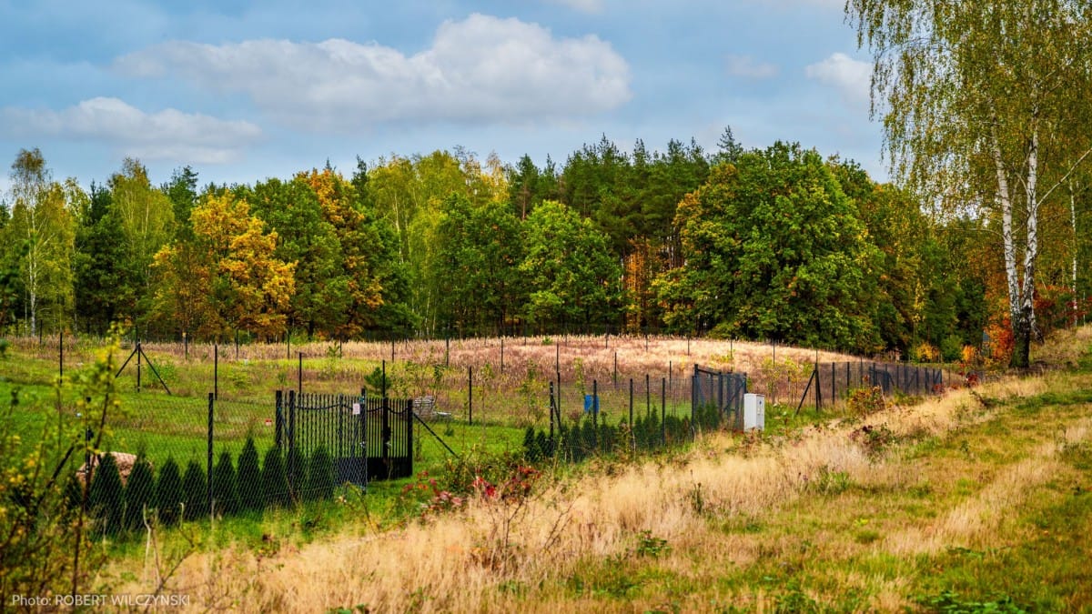 Działka  pokojowe na Sprzedaż