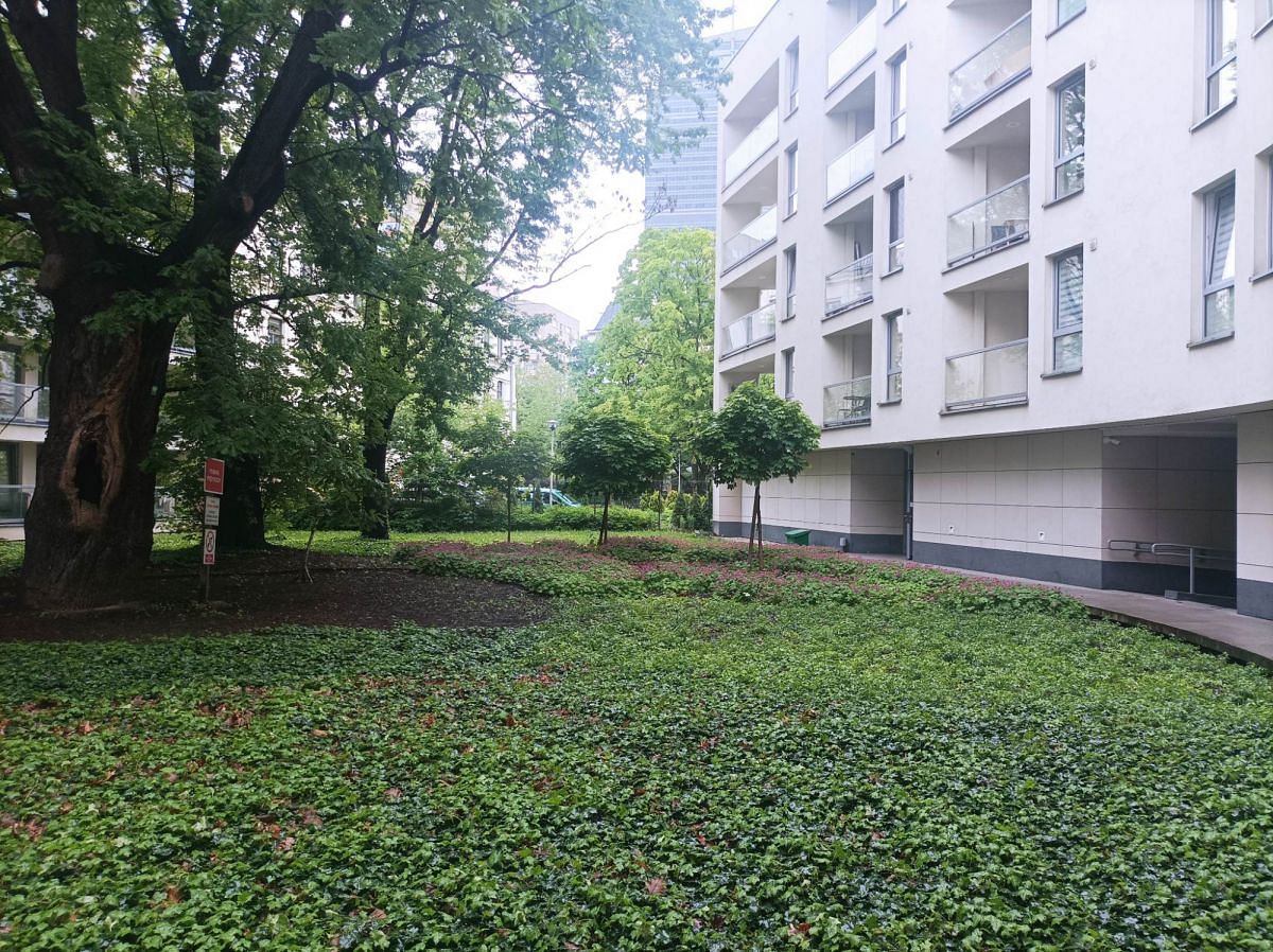 Mieszkanie 1 pokojowe na Wynajem