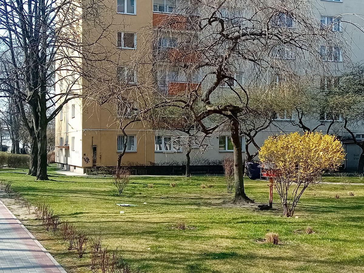 Mieszkanie 1 pokojowe na Sprzedaż