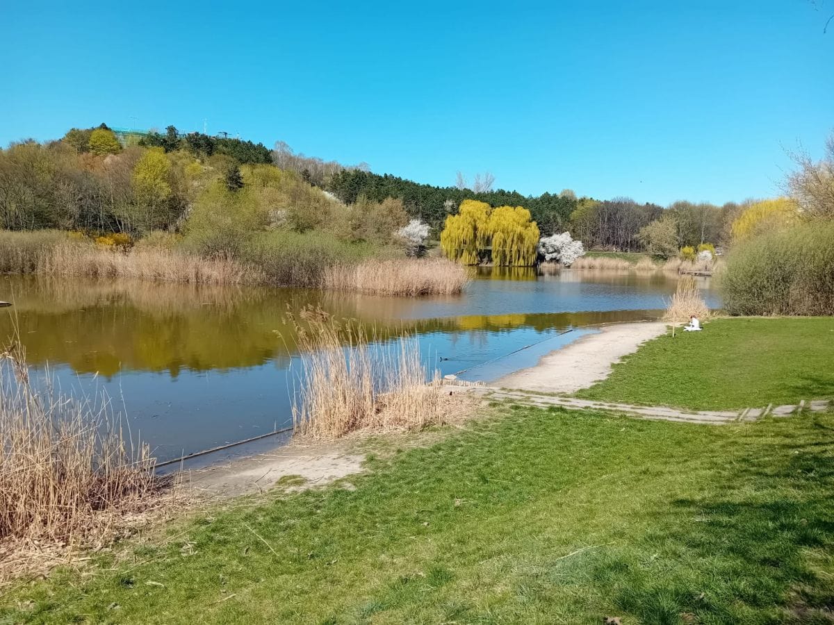 Mieszkanie 2 pokojowe na Wynajem