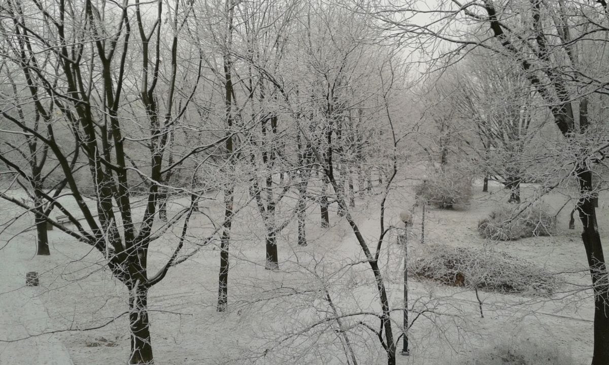 Mieszkanie 3 pokojowe na Wynajem