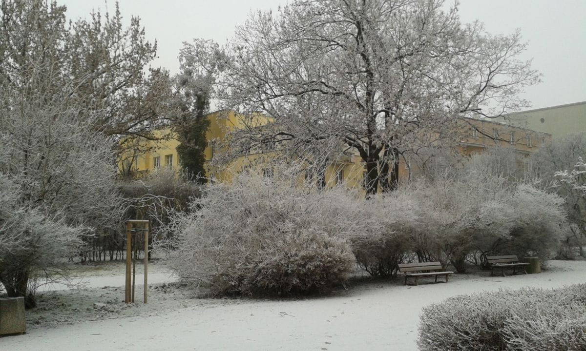 Mieszkanie 3 pokojowe na Wynajem