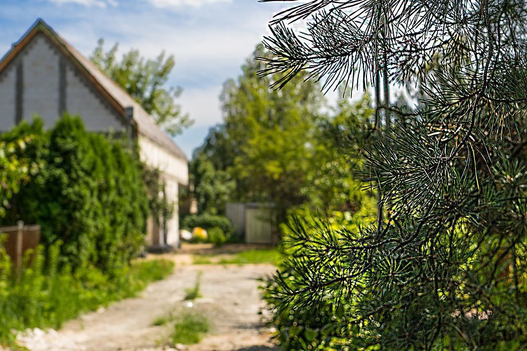 Dom 5 pokojowe na Sprzedaż