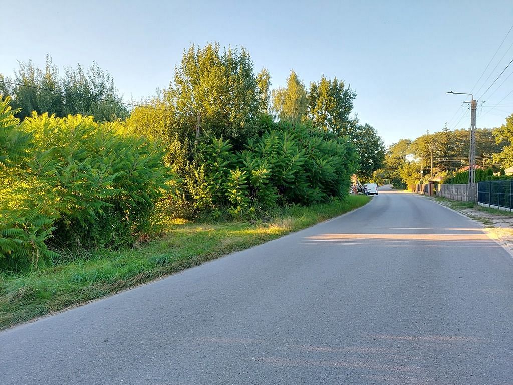 Działka  pokojowe na Sprzedaż