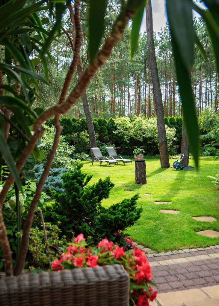 Dom 6 pokojowe na Sprzedaż