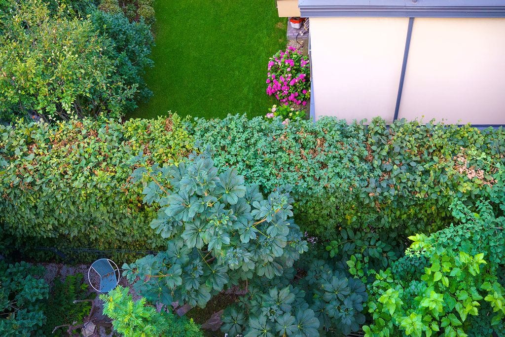 Dom 4 pokojowe na Sprzedaż