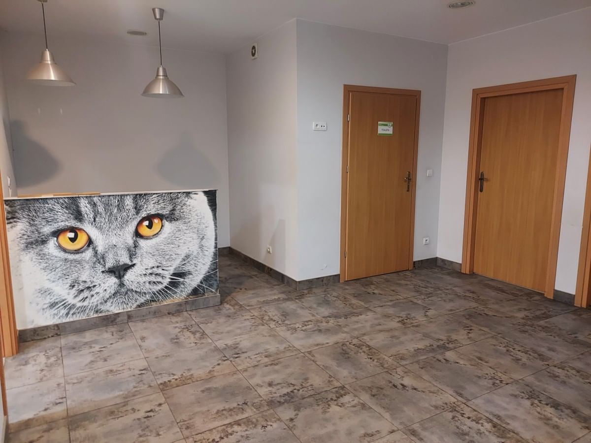 Lokal użytkowy  pokojowe na Wynajem