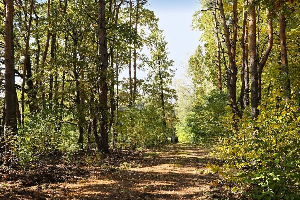 Dom 7 pokojowe na Sprzedaż