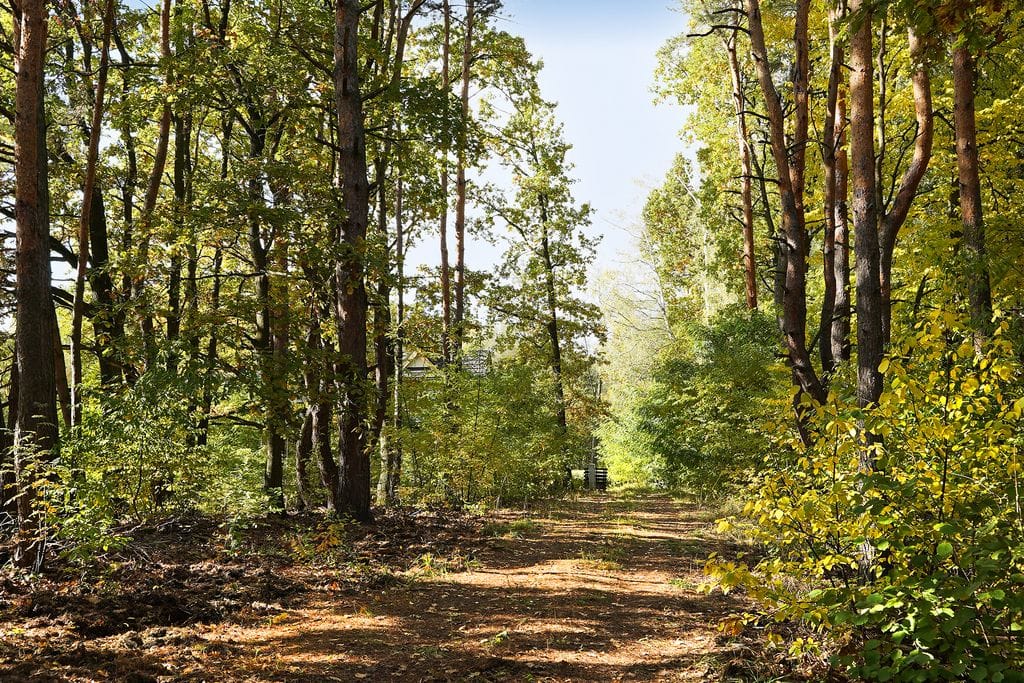 Dom 7 pokojowe na Sprzedaż