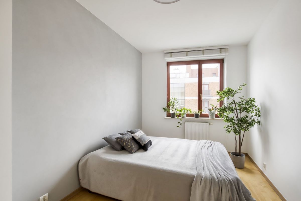 Mieszkanie 3 pokojowe na Wynajem