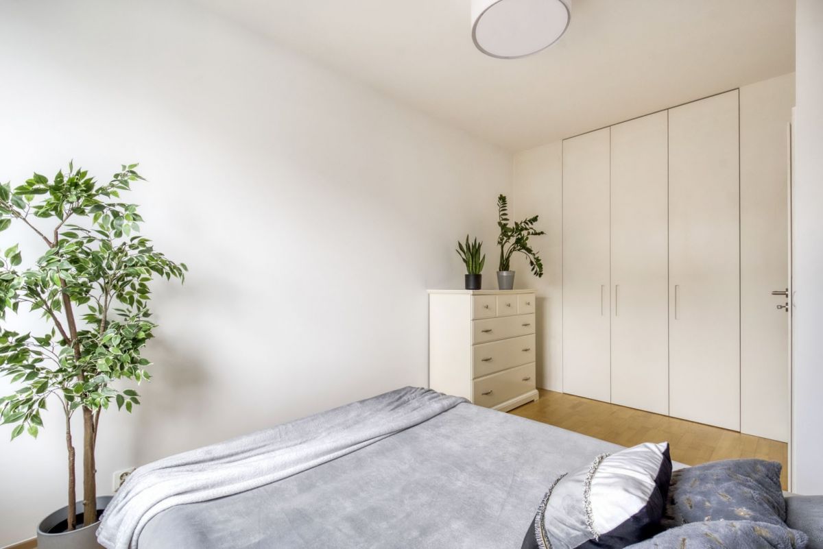 Mieszkanie 3 pokojowe na Wynajem