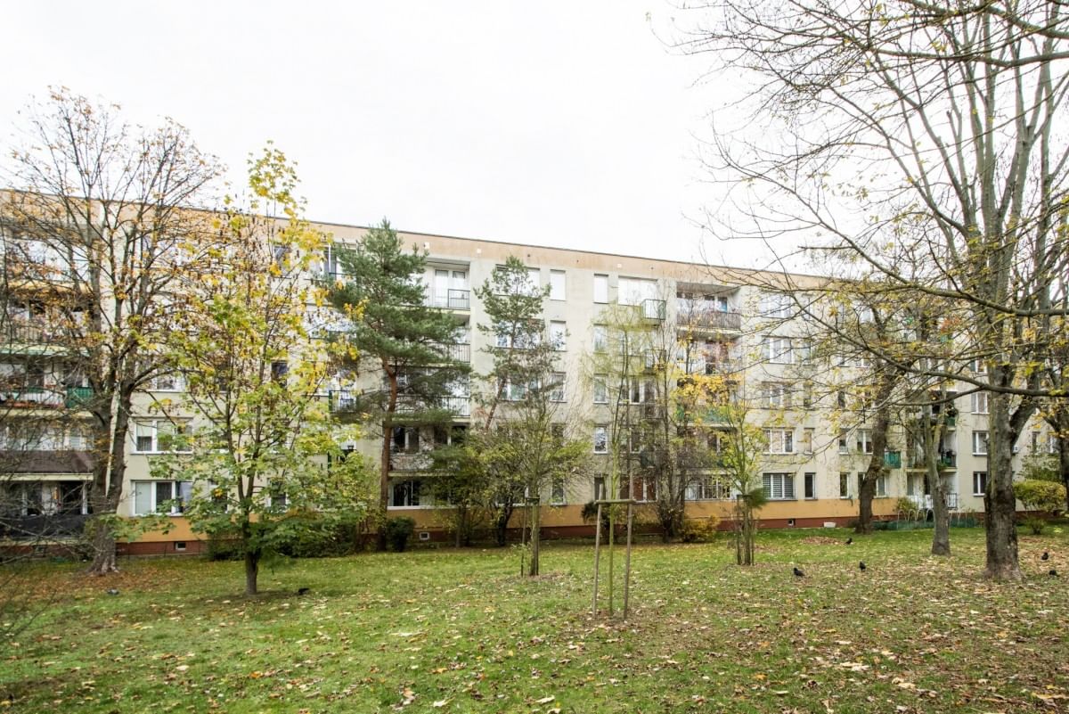 Mieszkanie 3 pokojowe na Wynajem