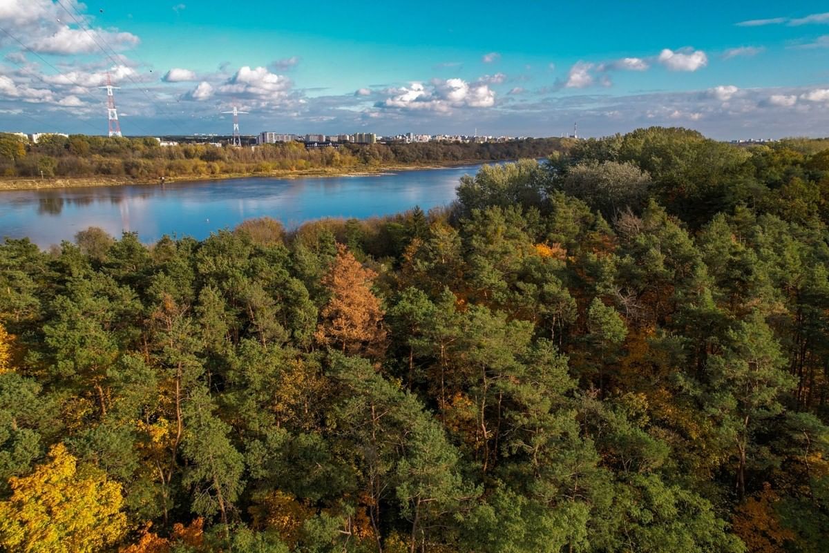 Dom 5 pokojowe na Sprzedaż