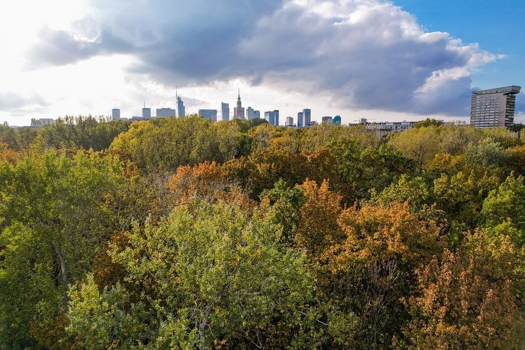 Mieszkanie 5 pokojowe na Sprzedaż