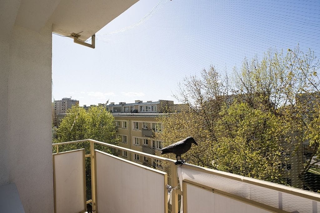 Mieszkanie 1 pokojowe na Wynajem