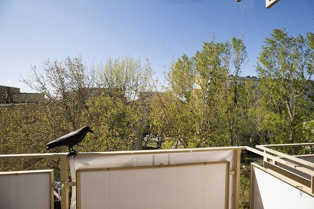 Mieszkanie 1 pokojowe na Wynajem