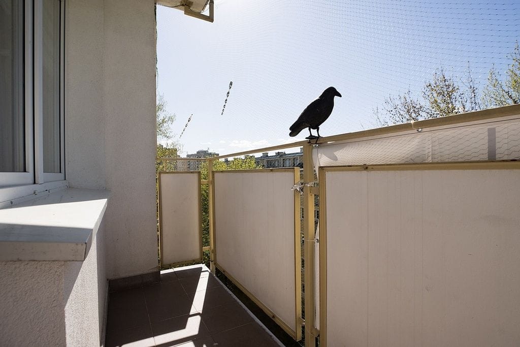 Mieszkanie 1 pokojowe na Wynajem