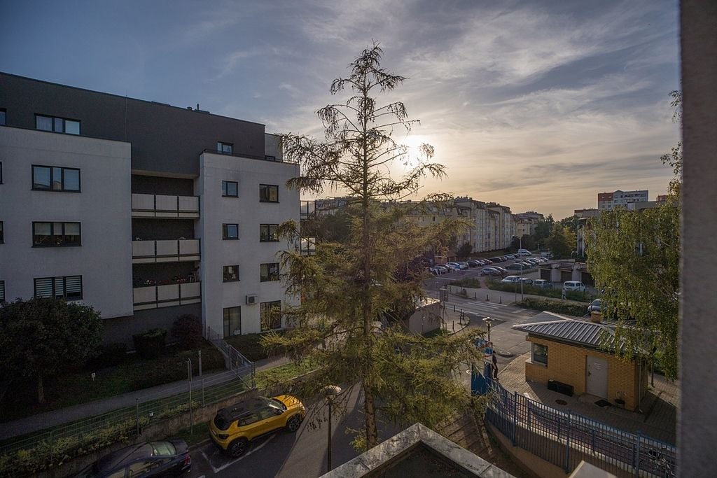 Mieszkanie 3 pokojowe na Wynajem