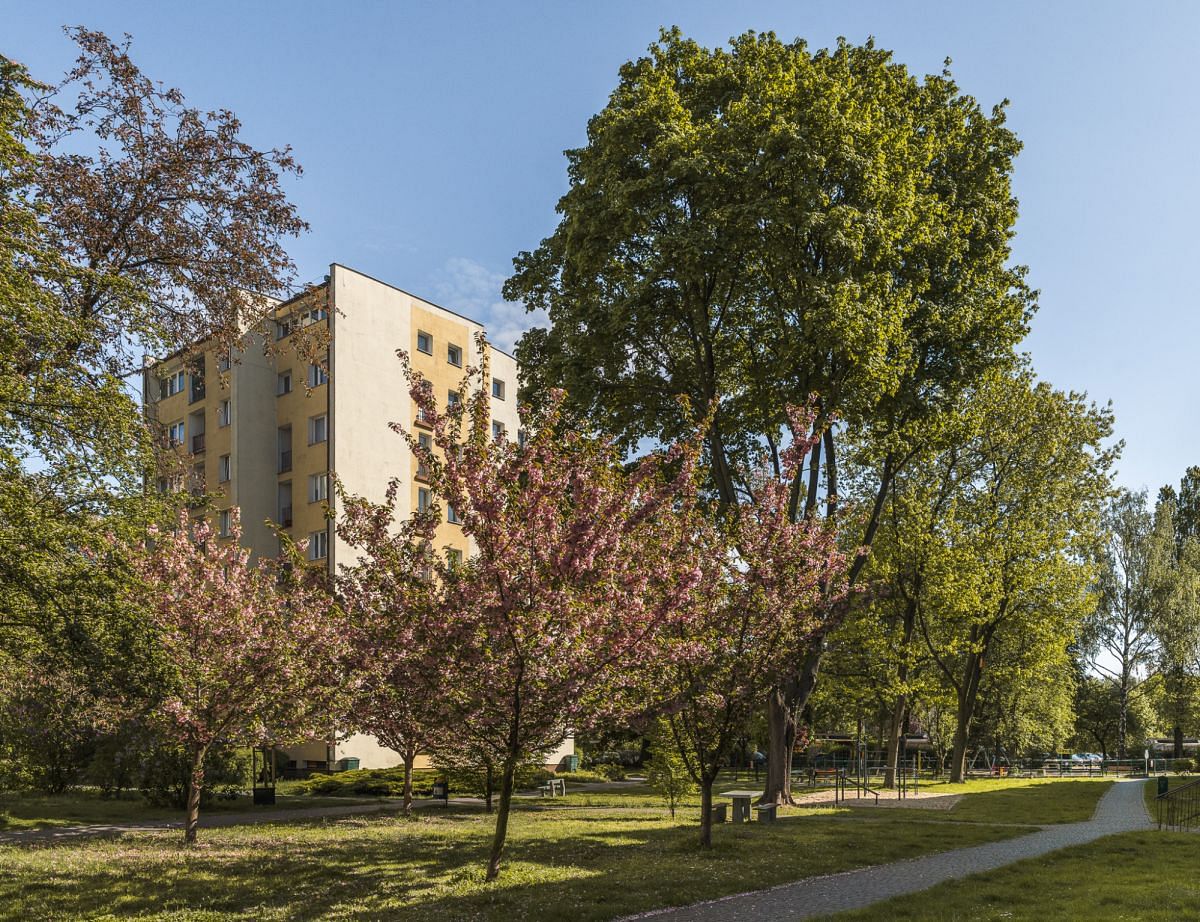 Mieszkanie 2 pokojowe na Sprzedaż