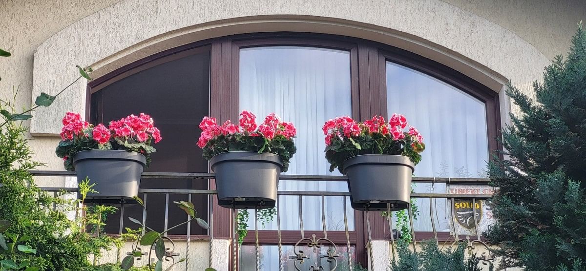 Dom 7 pokojowe na Sprzedaż