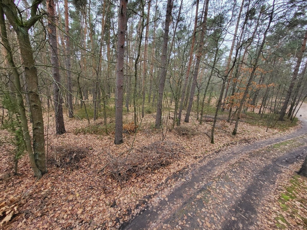 Działka  pokojowe na Sprzedaż