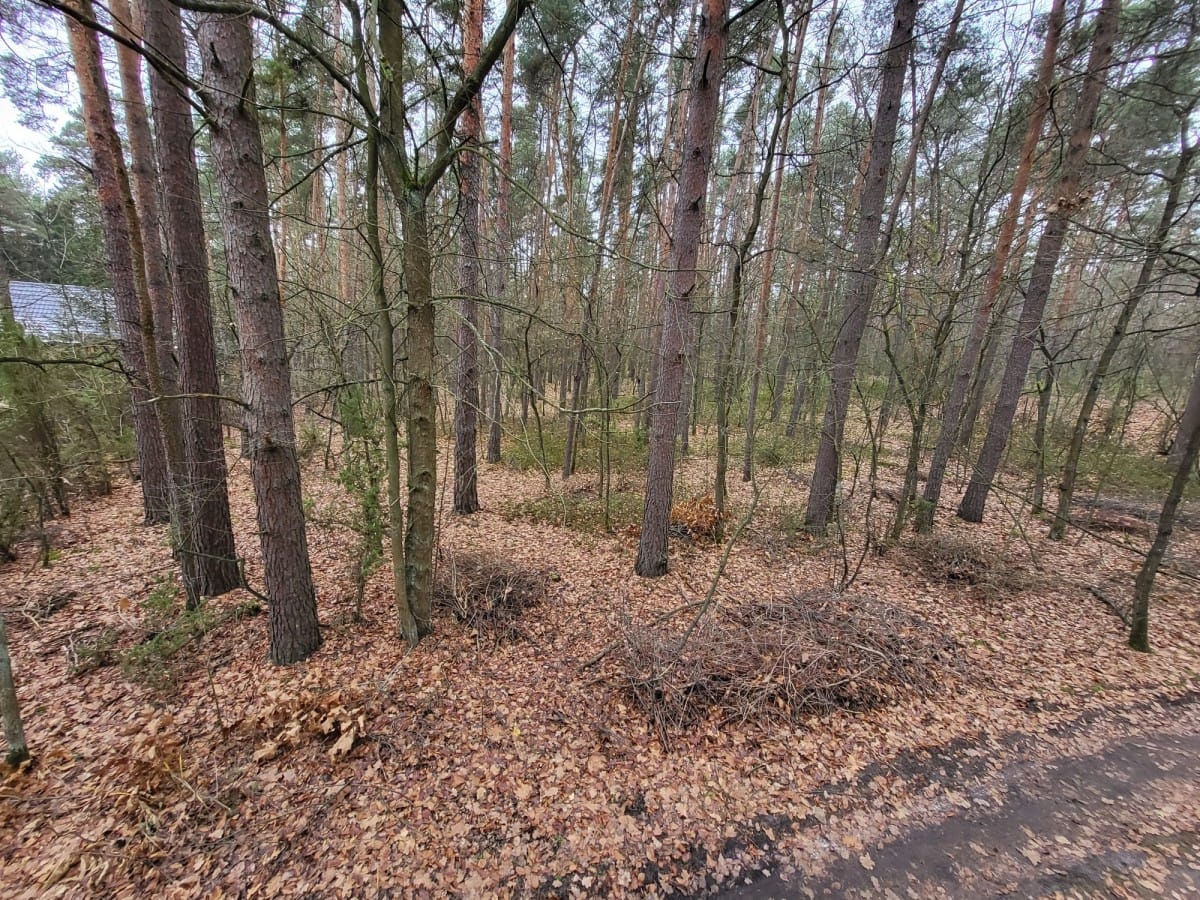 Działka  pokojowe na Sprzedaż