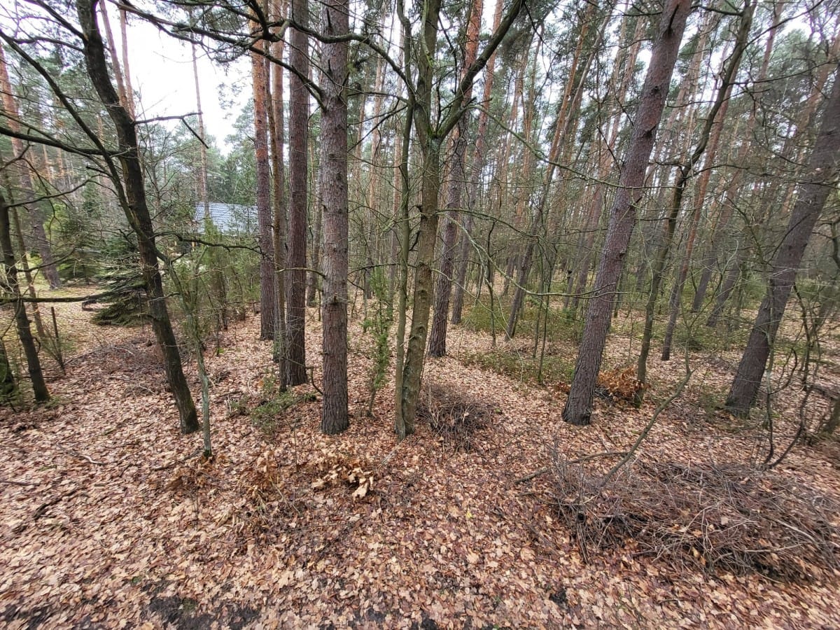 Działka  pokojowe na Sprzedaż