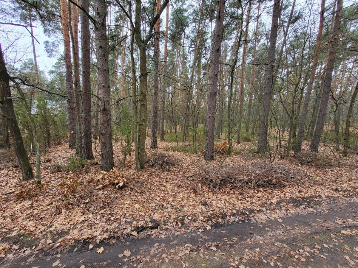 Działka  pokojowe na Sprzedaż