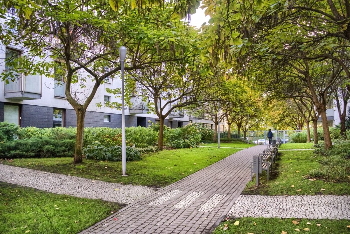 Mieszkanie 3 pokojowe na Wynajem