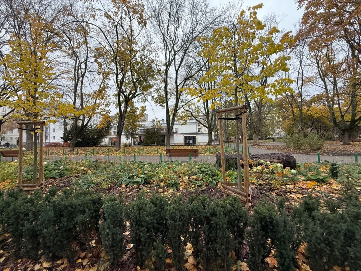 Mieszkanie 3 pokojowe na Wynajem