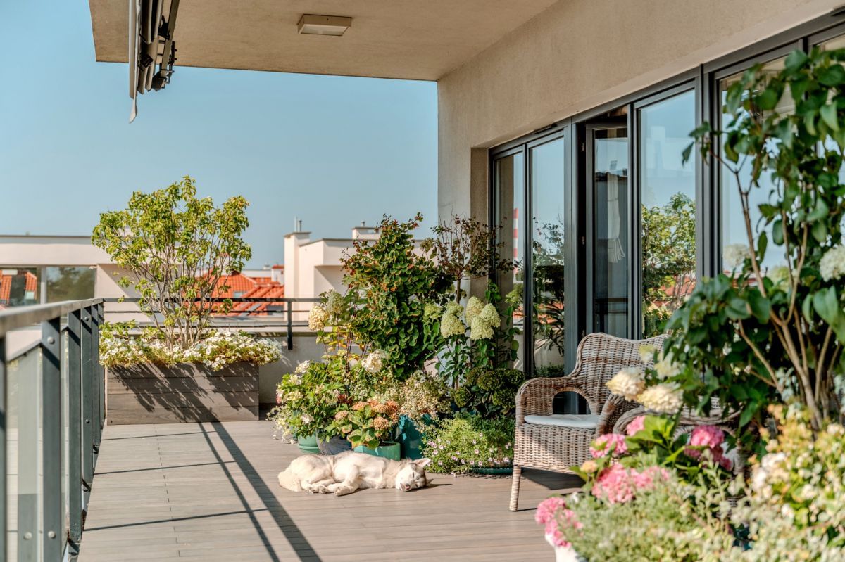 Mieszkanie 4 pokojowe na Sprzedaż