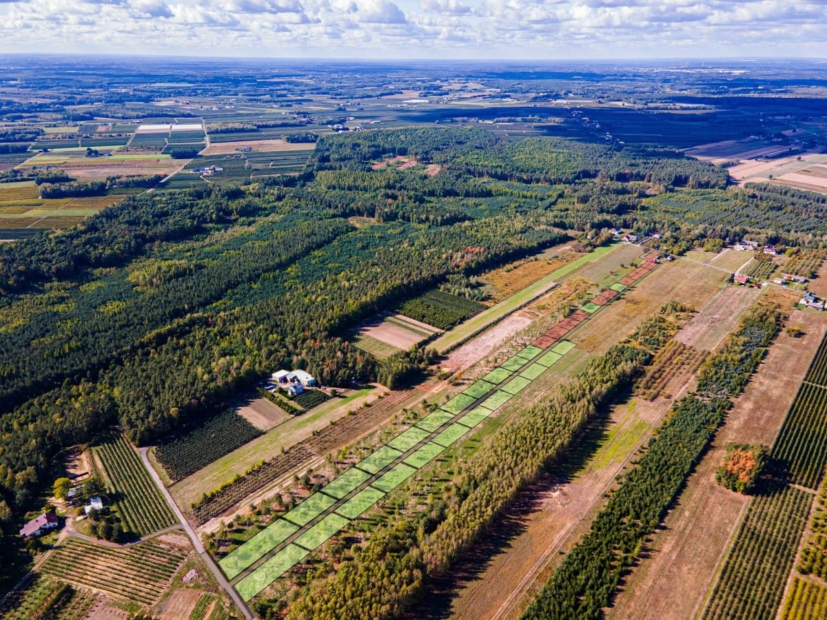 Działka  pokojowe na Sprzedaż